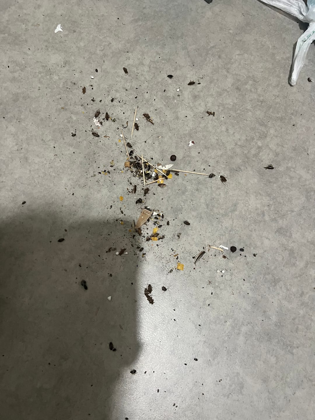 Customer photo of Acose Trap