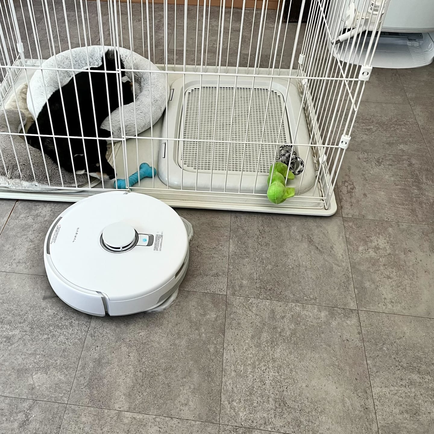 Customer photo review of 【セット】Narwal Freo Z10 ロボット掃除機+アクセサリー