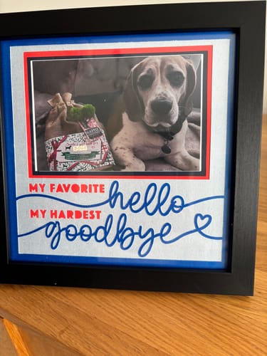 Customer photo review of Favorite Hello, Hardest Goodbye Pet Memorial Picture Frame Shadow Box Project