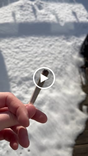 Customer video review of CALI MIX AAA+ – Premium Selection