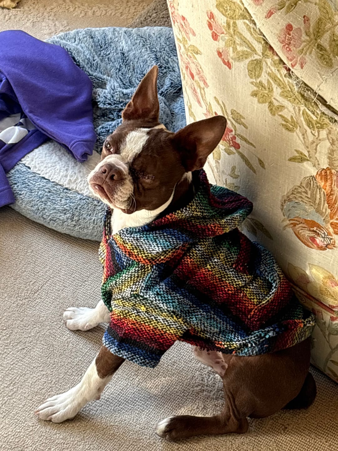 Customer photo review of Playa Poncho – Mystery Color (Bella, Charlie, or Fun Edition)