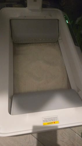 Customer photo review of 3 Month Supply - 2 Cats