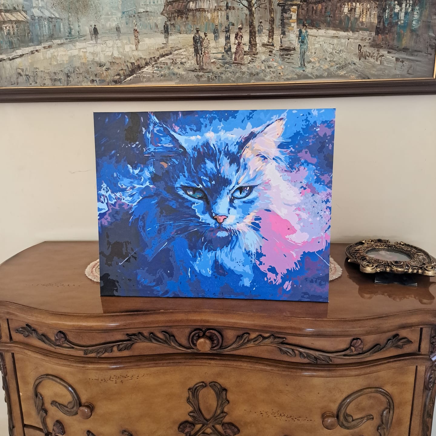 Customer photo review of Cosmic Cat