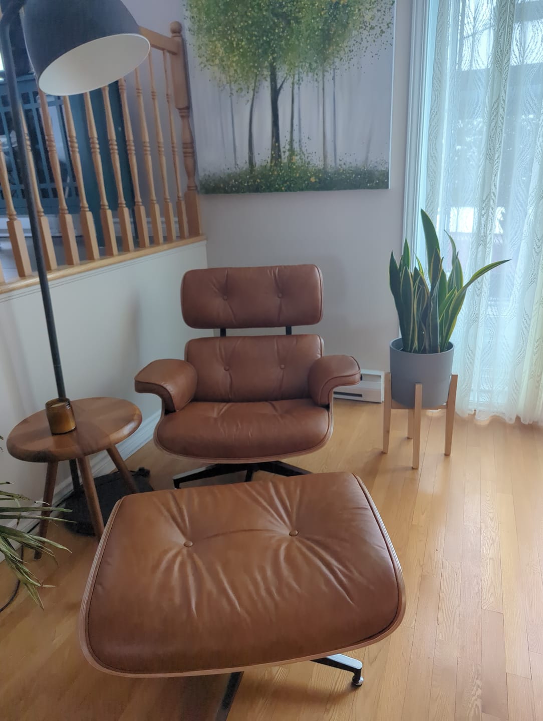 Customer photo review of Meseo Cognac Lounge Chair and Ottoman