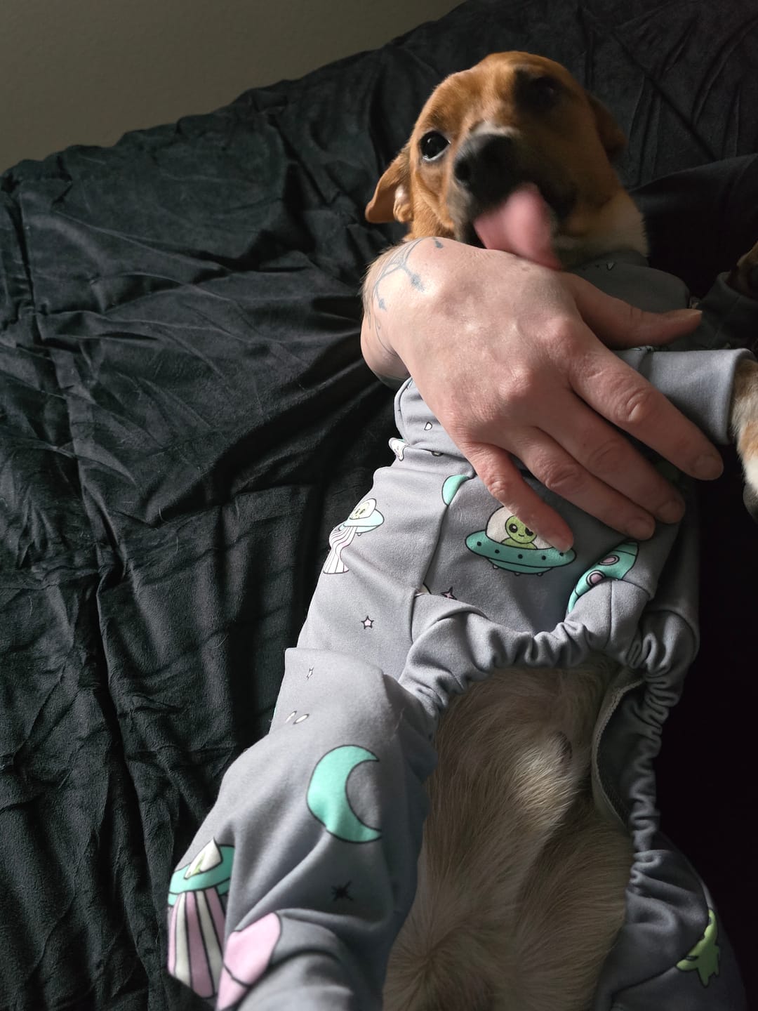 Customer photo review of Dog Pajama - Alien