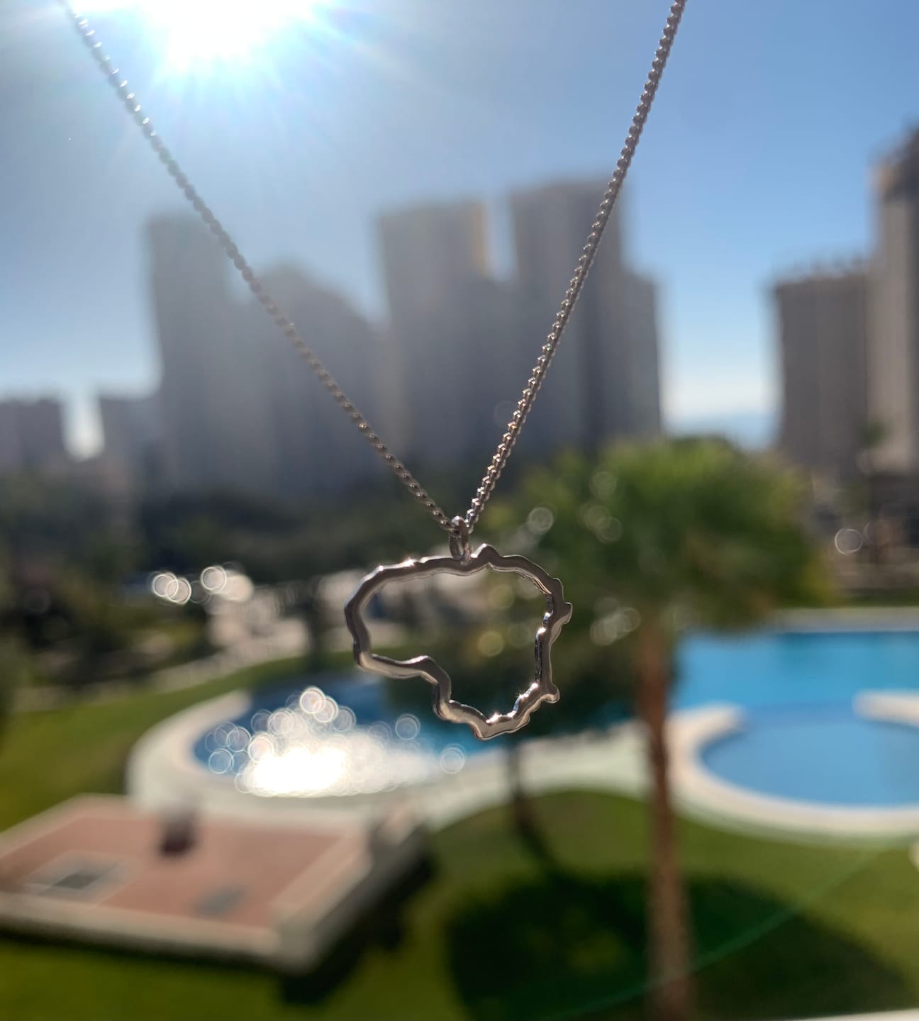 Customer photo review of Sidabrinis pakabukas "Lietuva"