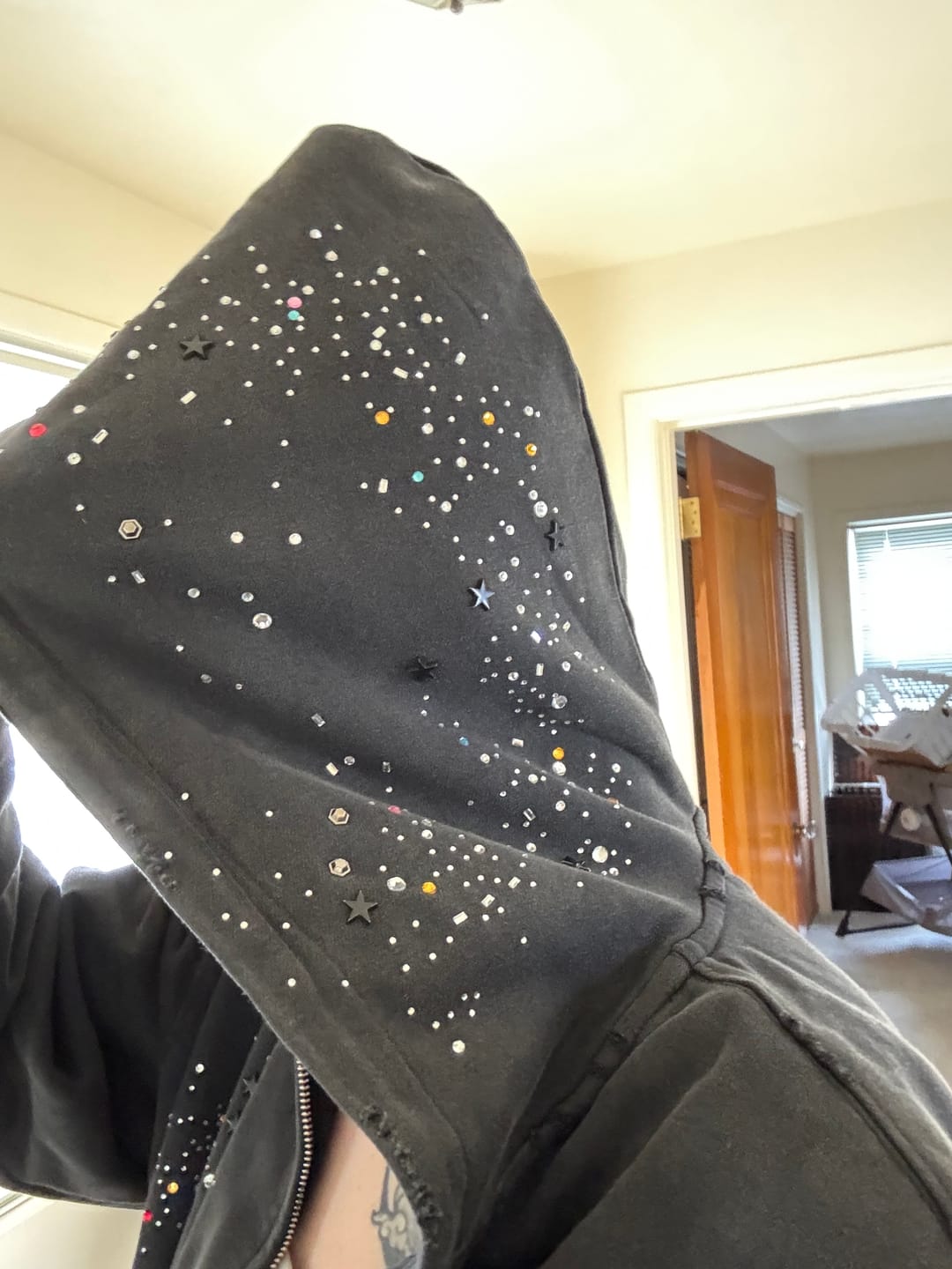 Customer photo review of Aelfric Eden Rhinestone Boxy Zip Up V302 Hoodie