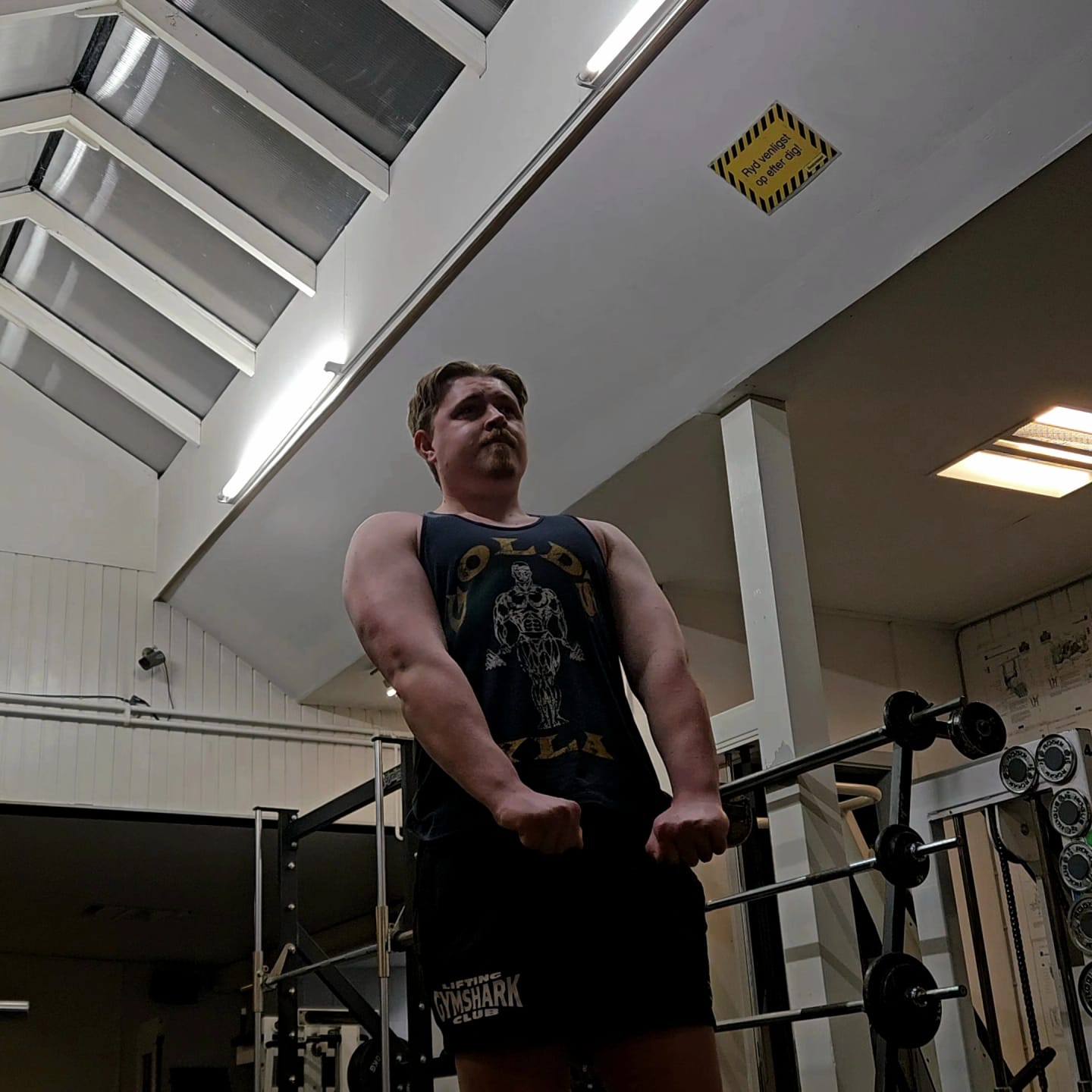 Customer photo review of 3003 - Gold's Iron Legacy Icon Stringers