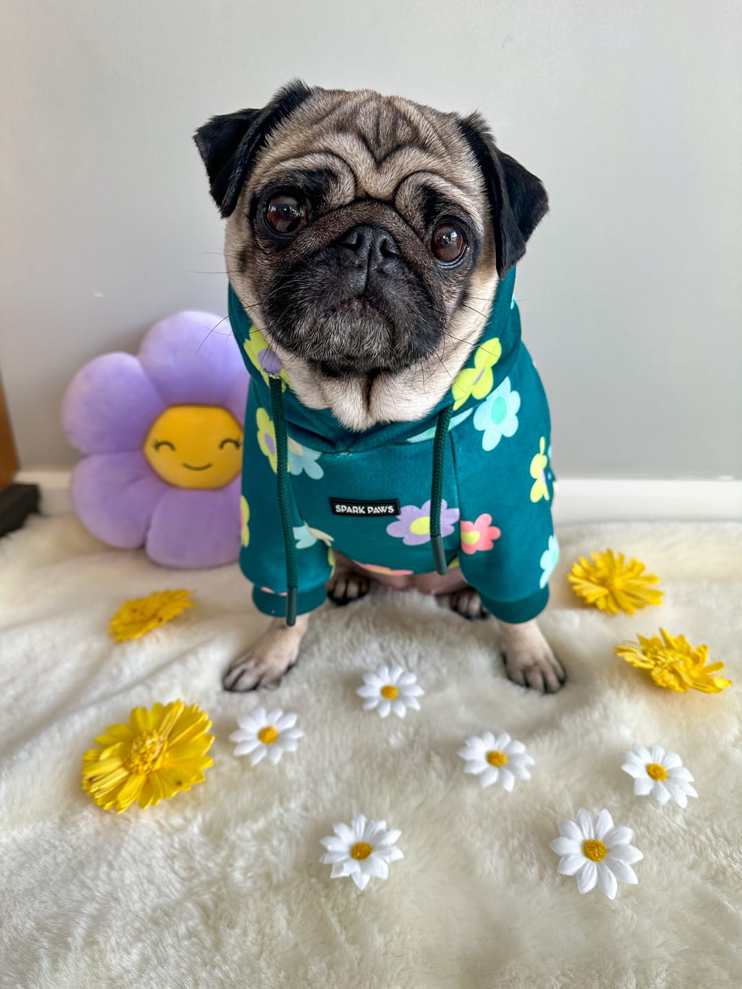 Customer photo review of Daisy Dog Hoodie - Green