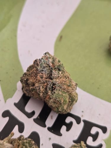 Reviewer's close-up of a dense, colorful CALI MIX AAA+ bud on a tray.