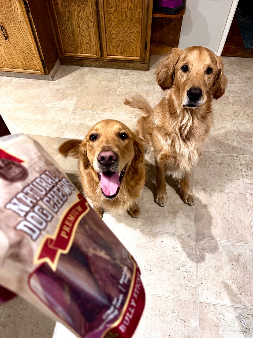Customer photo review of 6 Inch Monster Bully Stick