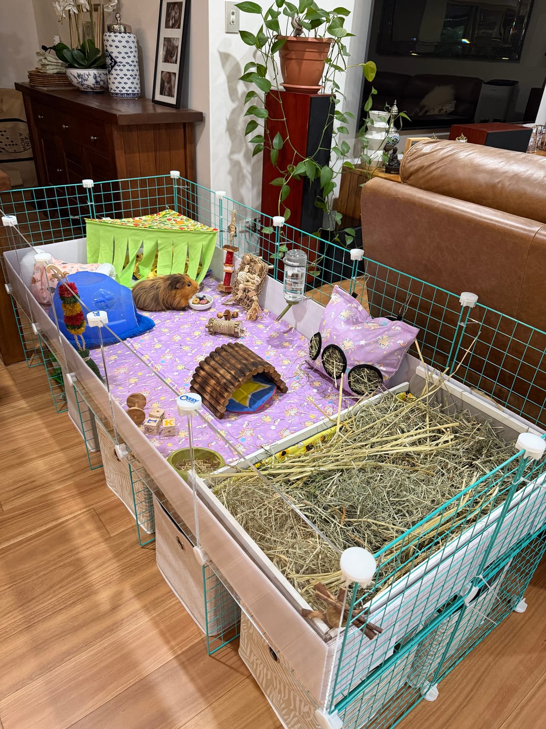Customer photo review of Guinea Pig Cage Kitchen - Ozzy C&C Cages