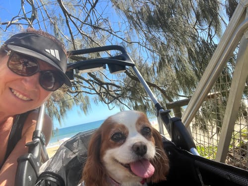 Close-up of a reviewer and their happy dog in the pet stroller on a sunny beach.