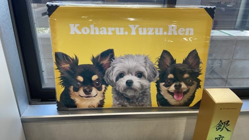 Customer photo review of Petcanva©オーダーメイド ペット似顔絵【3点セット】