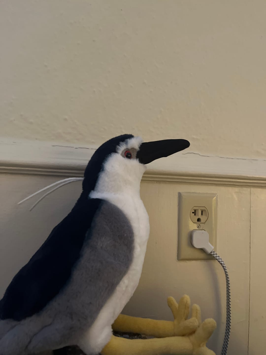 Customer photo review of Night Herron Bird Soft Stuffed Plush Toy