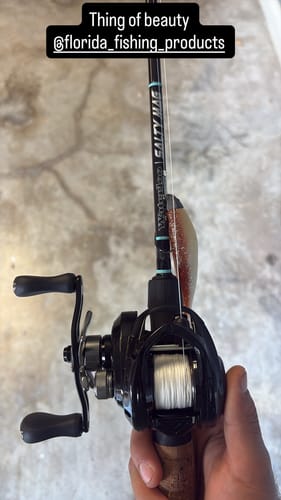 A reviewer's hand holding a Waterloo Salty Mag fishing rod, showing the black reel and cork handle.