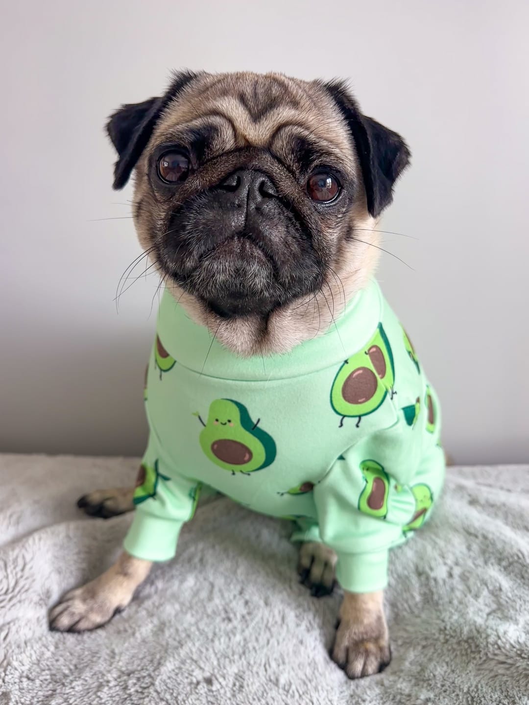Customer photo review of Dog Pajama - Avocado
