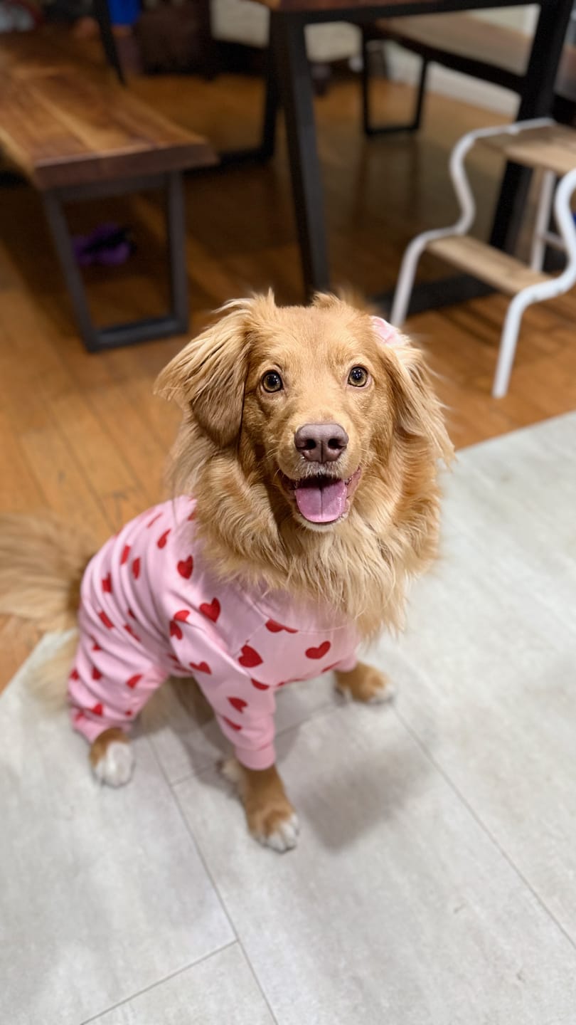 Customer photo review of Dog Pajama - Pink Hearts