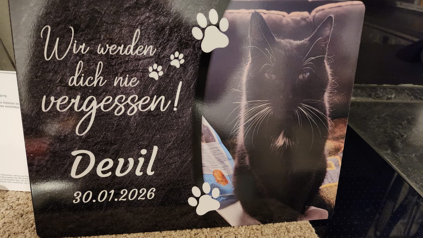 Customer photo review of Katzen Gedenktafel mit Foto & Spruch (UV- & Wetterfest)