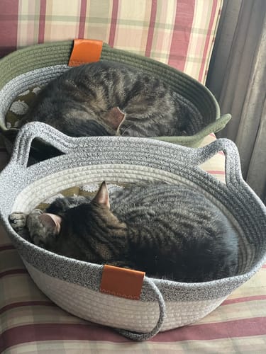 Customer photo review of Instinct Basket | Meet the first research-backed natural territory for indoor cats