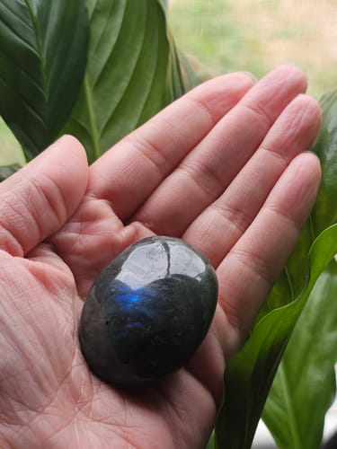 Reviewer holding a polished Labradorite Moonstone with a blue flash in their hand.