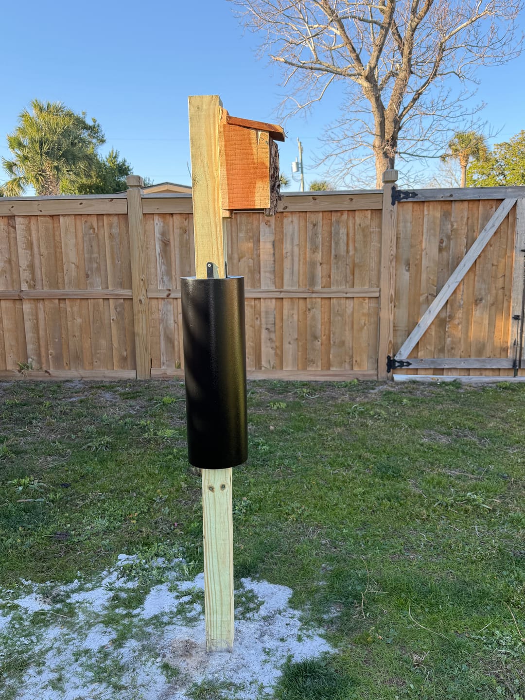 Customer photo review of Raccoon & Squirrel Baffle 4x4 Post-Mount