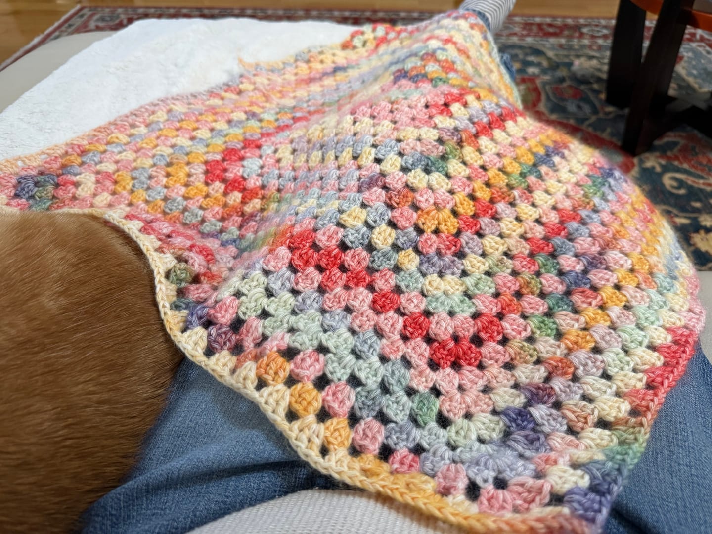 Customer photo review of CrochetPark™ Hearthside Rainbow Blanket Kit