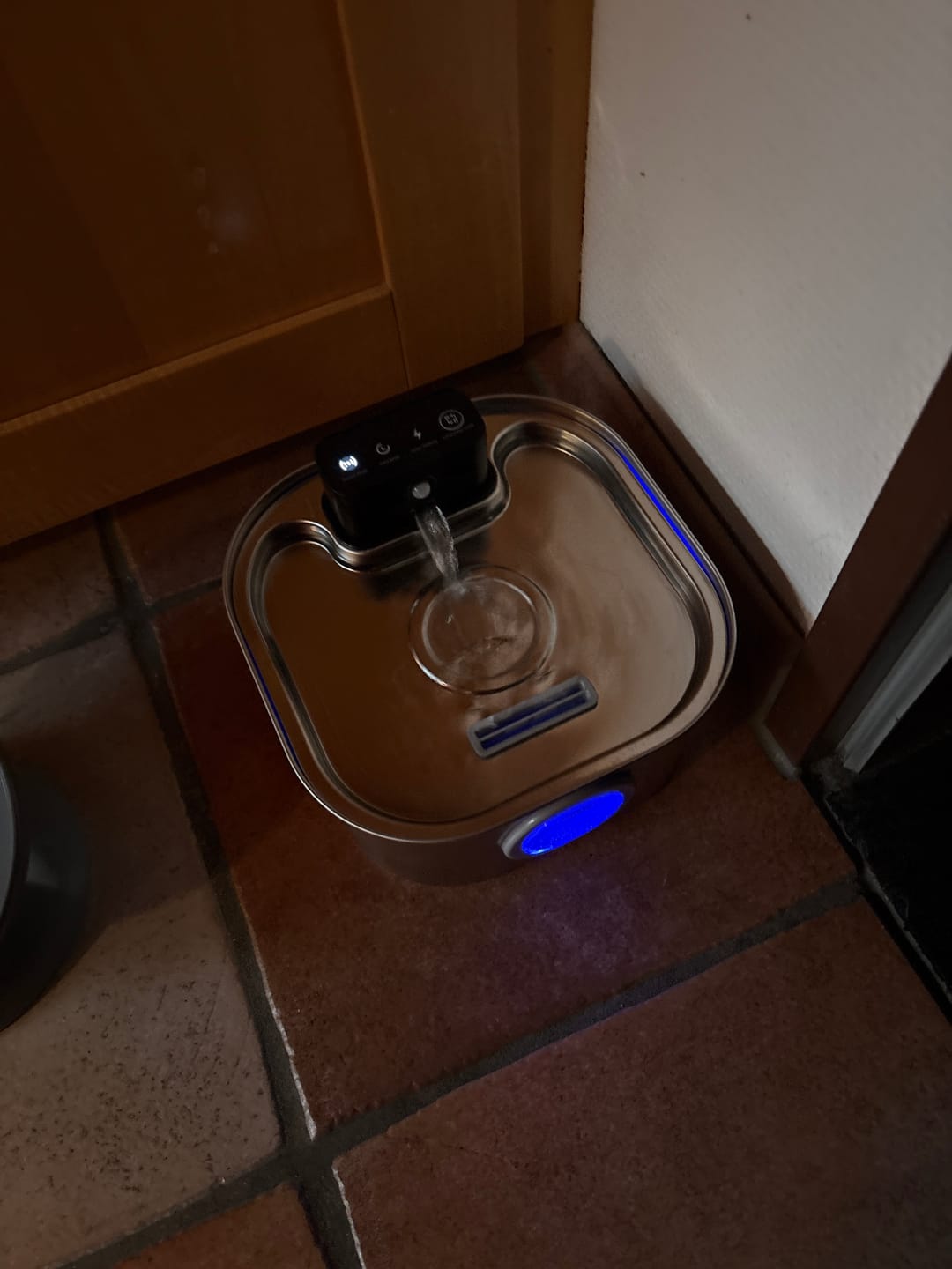 Customer photo review of Filter 12 Monatsvorrat für PfotenBrunnen™
