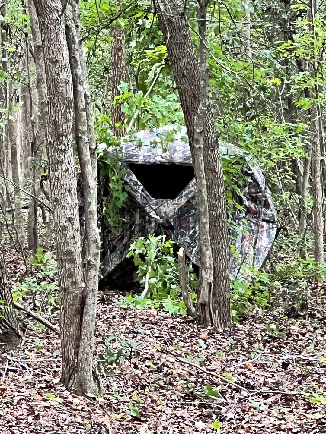 Customer photo review of VisST 270° See Through Ground Blinds | Pop Up Portable Blinds for 2 3 Person Deer Hunting with Silent Magnetic Door