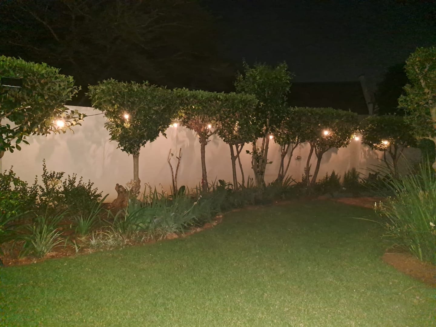 Customer photo review of Solar Festoon Bulb String Lights