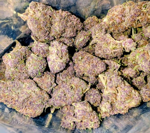 Customer photo review of Tropicana Cherry THCA Flower