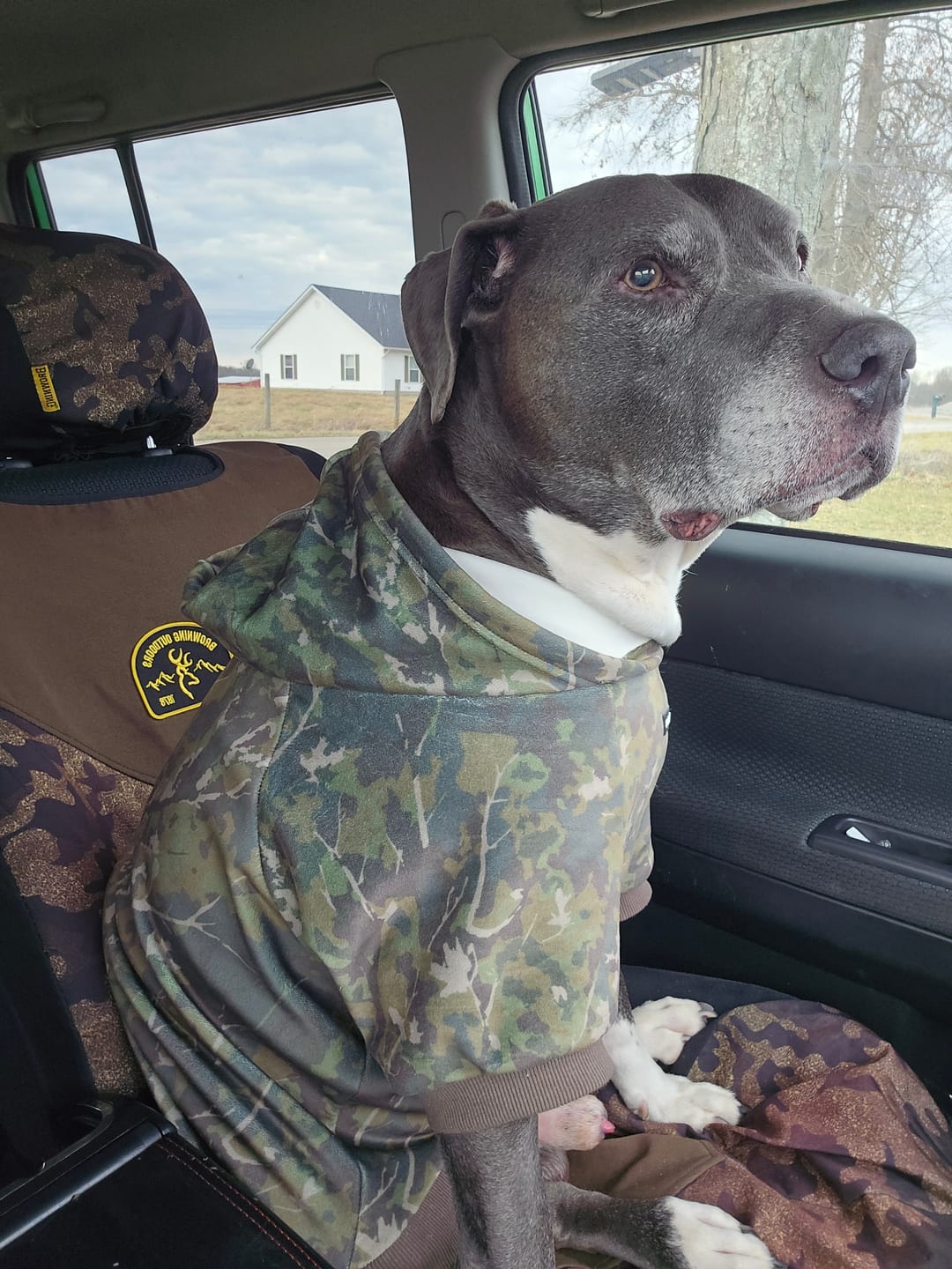 Customer photo review of Camo Dog Hoodies