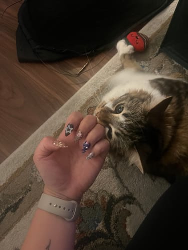 Customer photo review of Cat Lovers