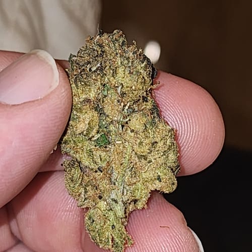 Customer photo review of Cheap Indoor THCA Flower Ounce