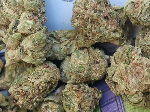 Customer photo review of Cheap THCA Smalls Ounce