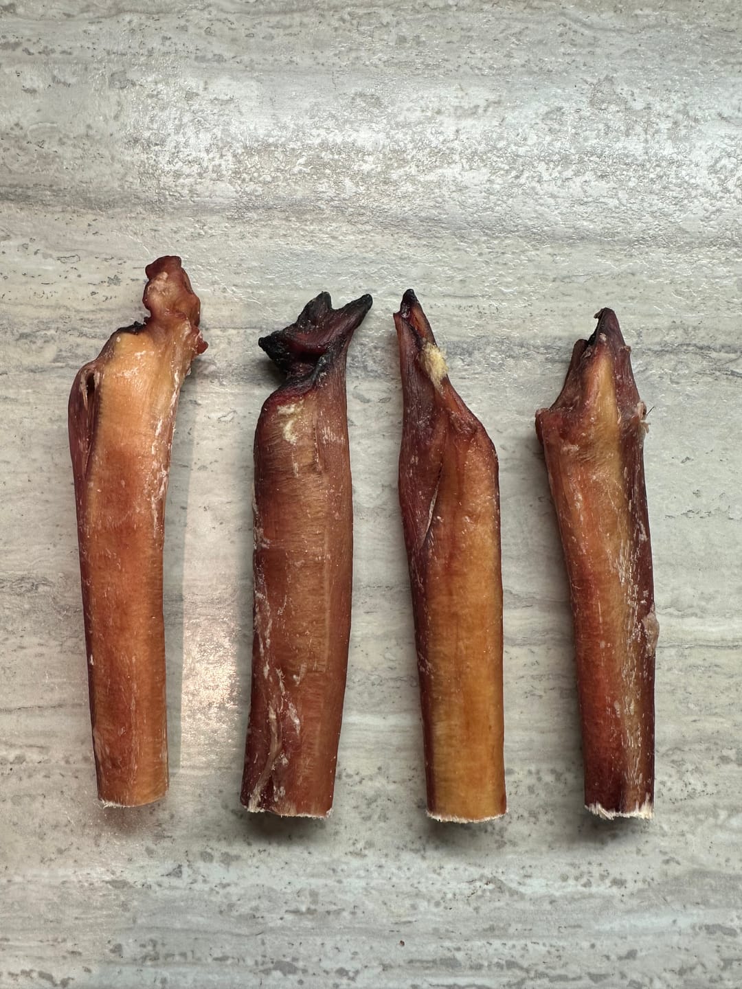 Customer photo review of 6 Inch Jumbo Bully Stick