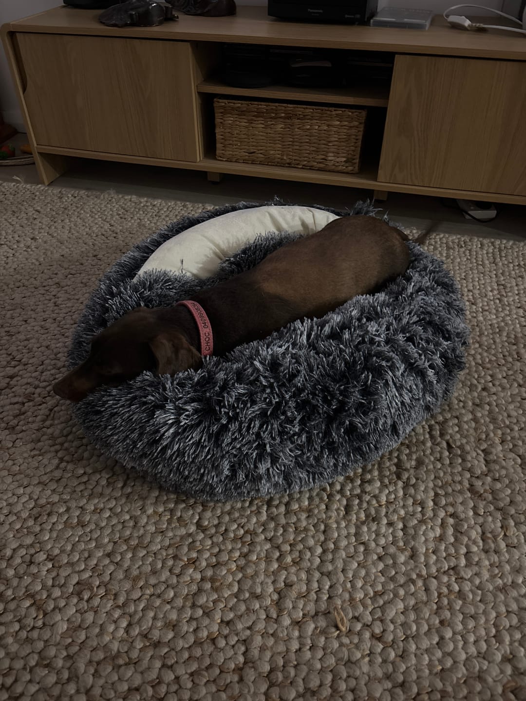 Customer photo review of Pet Cave Dog Bed - Removable Cover