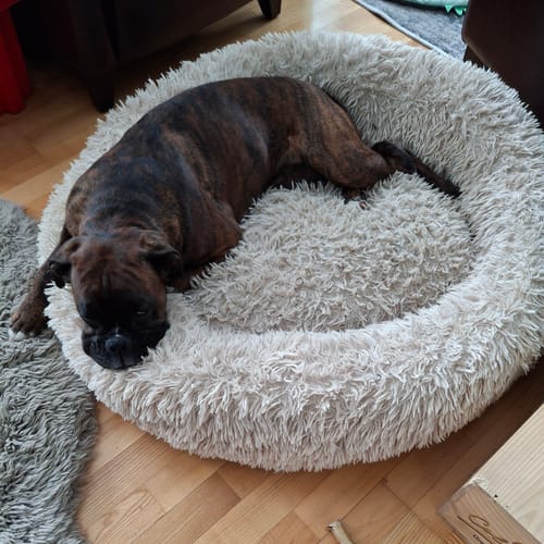 Customer photo review of CalmBed överdrag