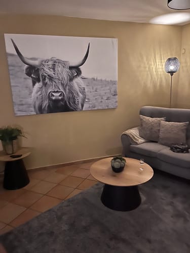 Customer photo review of Leinwandbild | Rind im Hochland | Querformat