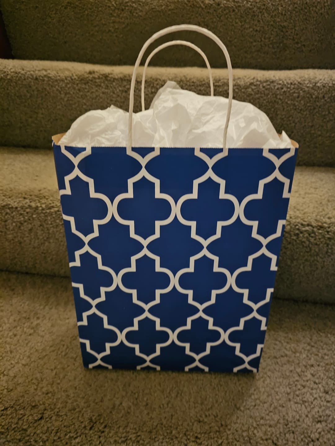 Customer photo review of Playtime Changing Pad™ - Excursion Edition