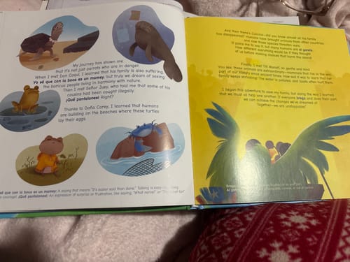 Customer photo review of Bori: A Vuelo de Pájaro | Libro Bilingüe