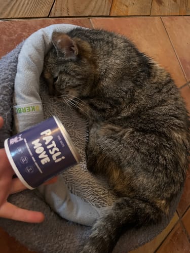 Customer photo review of Patsli® Move