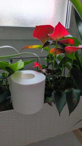 Customer photo review of BamBam! Dein Bambus Toilettenpapier
