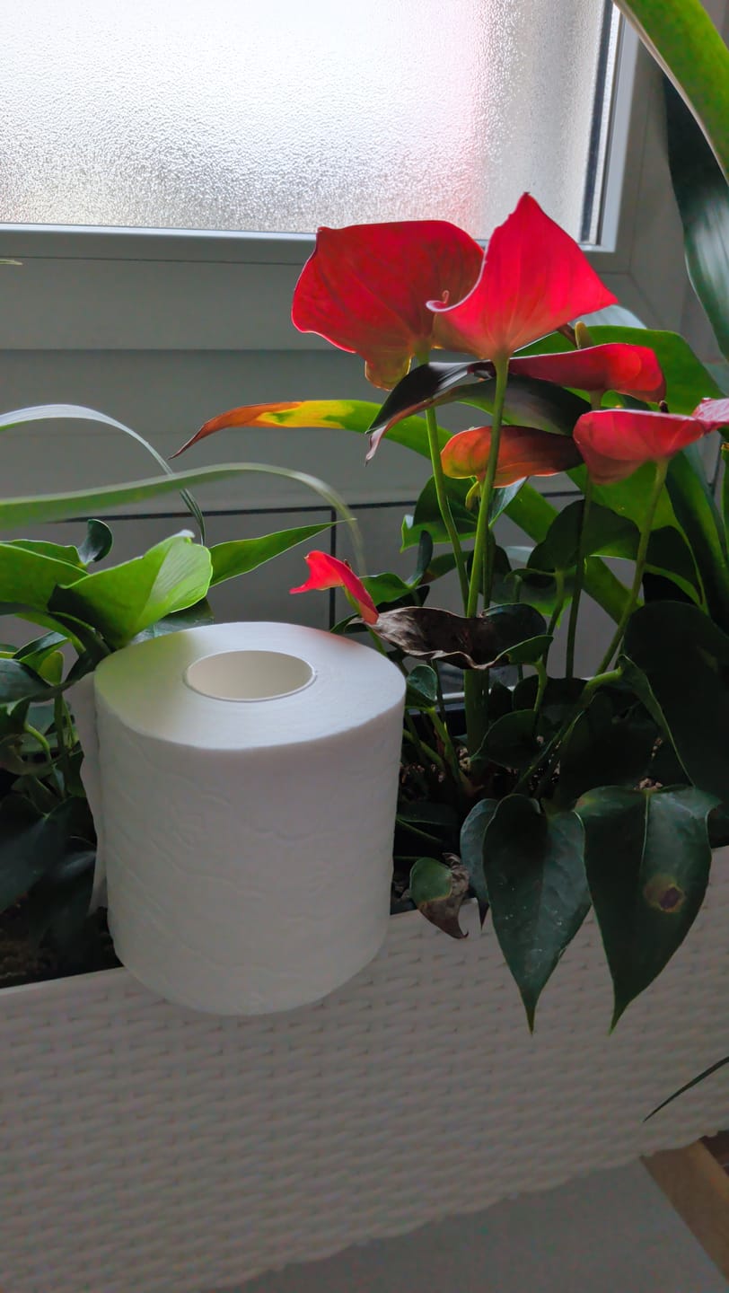 Customer photo review of BamBam! Dein Bambus Toilettenpapier