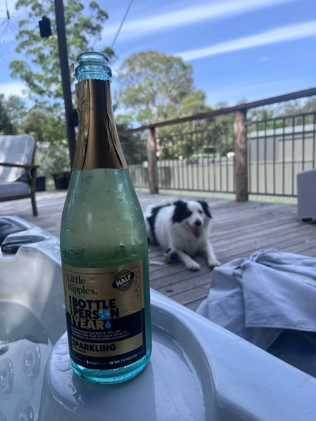 Customer photo review of Sparkling - Single Bottle