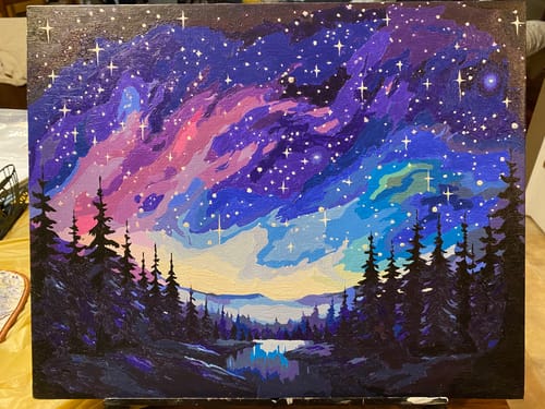 Customer photo review of Starry Night