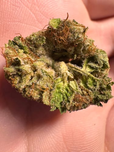 Customer photo review of Gold Spectrum THCA Flower (Top) - Grape Soda