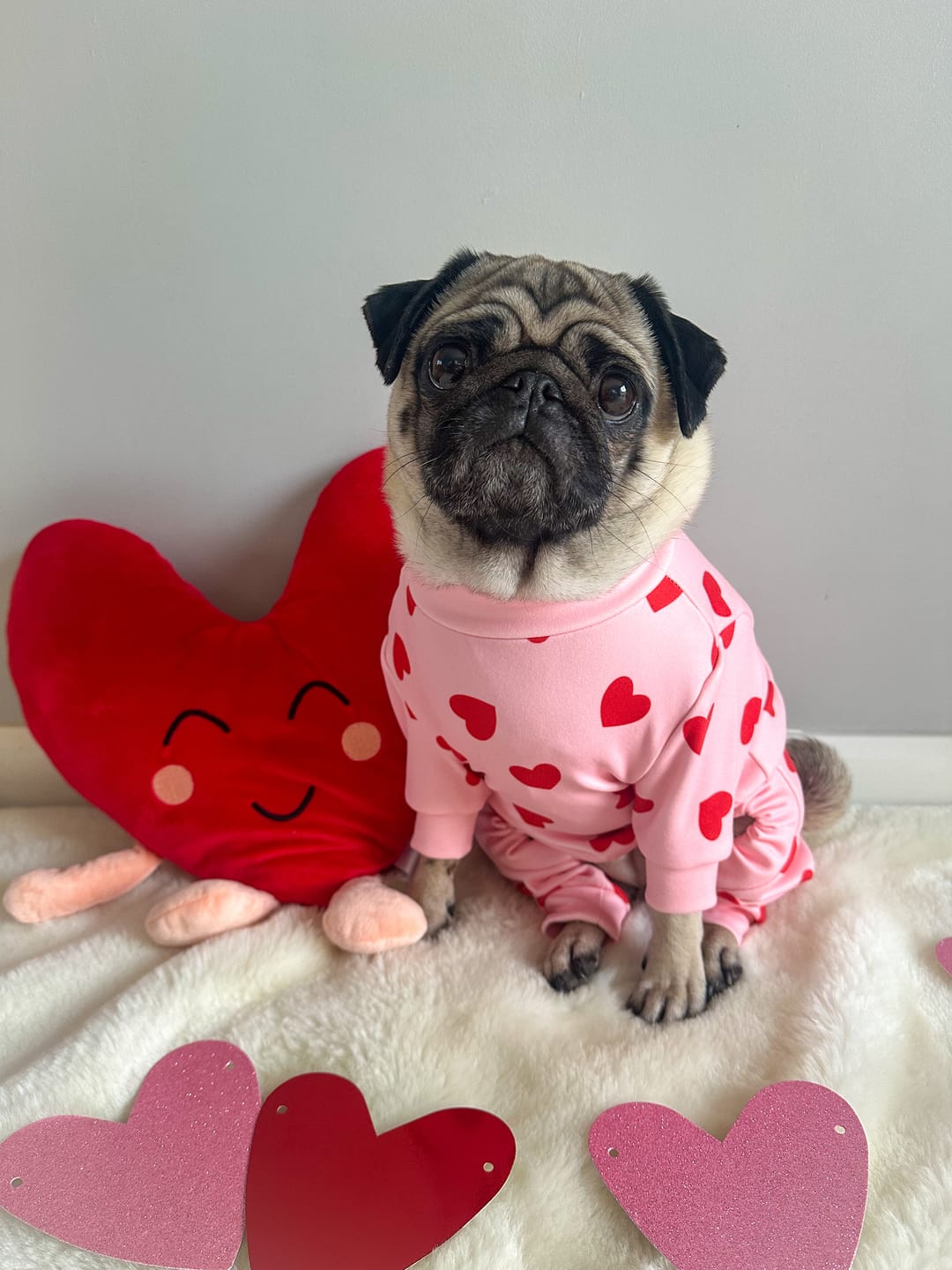 Customer photo review of Dog Pajama - Pink Hearts
