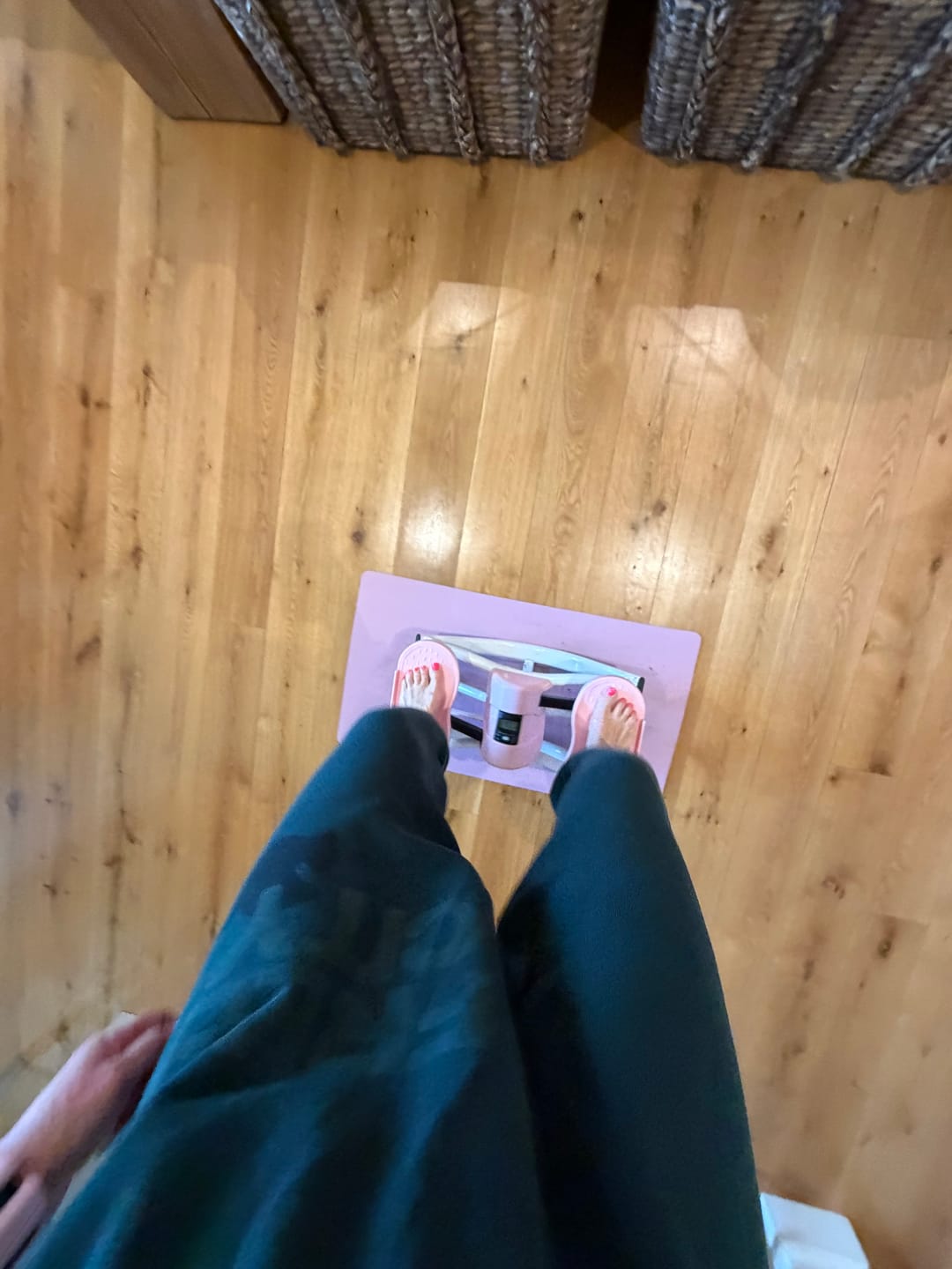 Customer photo review of The Rock Stepper