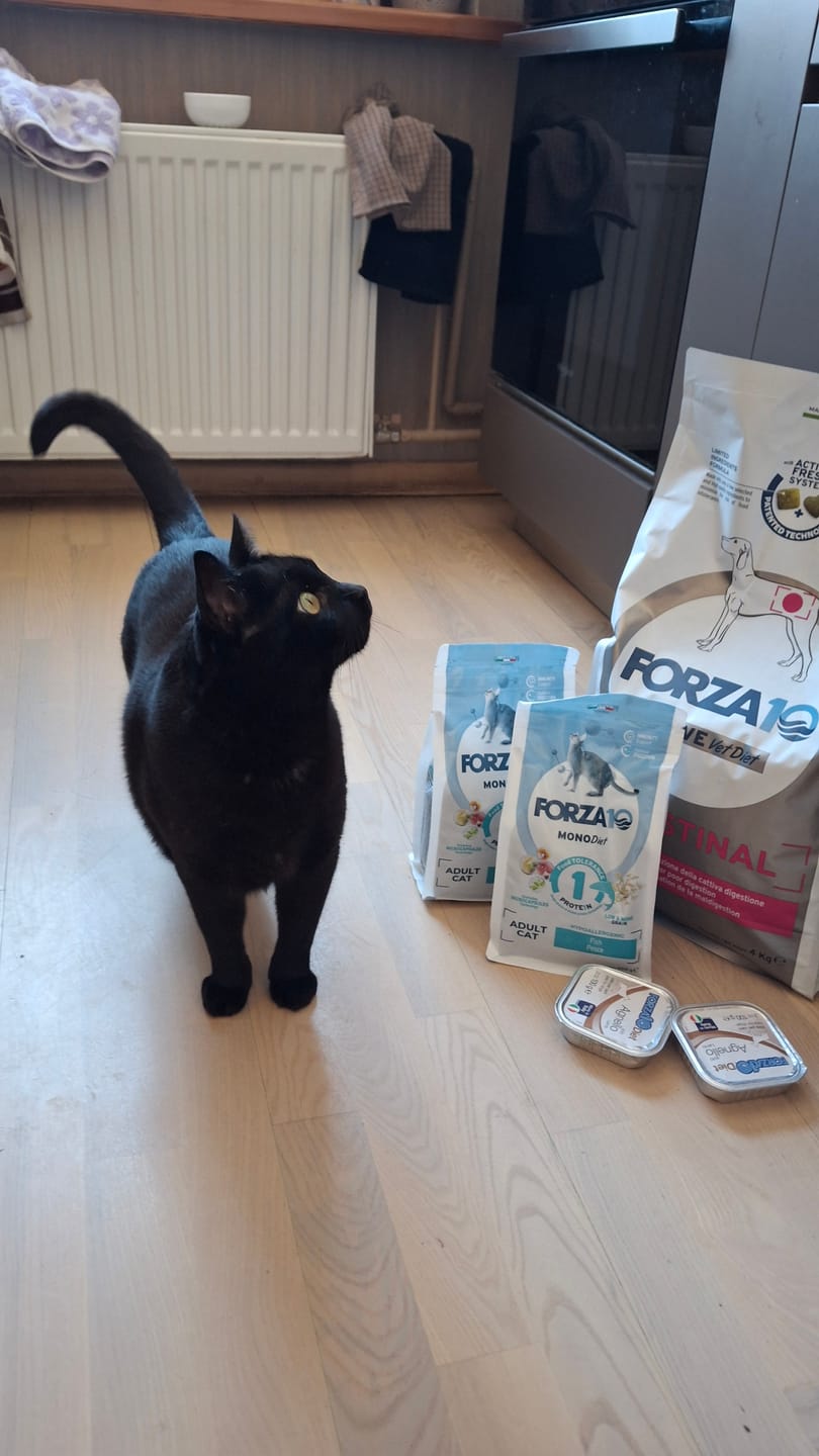 Customer photo review of Solo DIET konservi suņiem ar jēru
